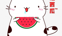 吃瓜爆料图片表情包大全,趣味横生的网络文化盛宴