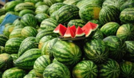 宜兴吃瓜爆料事件真相,揭秘背后真相与网络舆论的反思