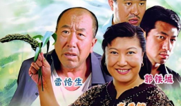 电视剧乡村,温情岁月里的乡愁记忆