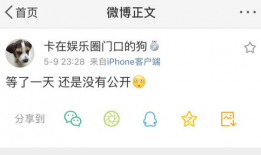 吃瓜爆料免费网址在线,吃瓜爆料免费网址，带你畅游网络八卦世界